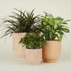 Footed Planter - Terracotta