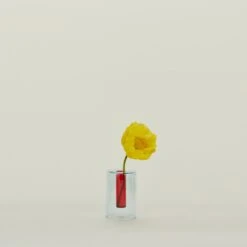 Reversible Glass Vase - Red/Blue -Home Furnishing Store BLD.100.30.001.580 a