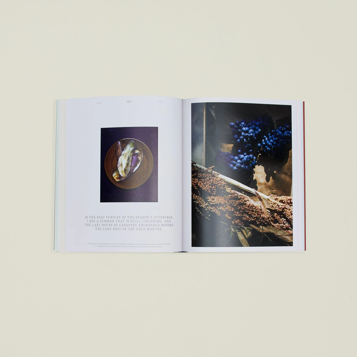 A Spoonful Of Sun Book 2 A Spoonful Of Sun Book - Image 2