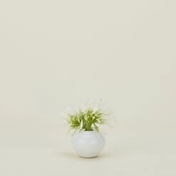 Verdure Vase - White -Home Furnishing Store CVL.100.30.002.000