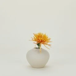 Verdure Vase - Natural -Home Furnishing Store CVL.100.30.003.065 b