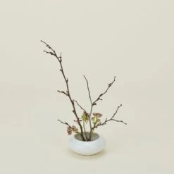 Stoneware Ikebana Vase - White -Home Furnishing Store CVL.100.30.006.000 a2