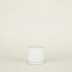 Minimal Planter -Home Furnishing Store CVL min lg 1copy