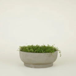 Footed Bowl Planter - Fiber Cement -Home Furnishing Store FC footedbowl smallprop 95bcf522 c2d7 45a7 a77a c1a106bf21f9