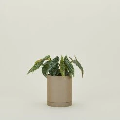 Ferm LIVING Sekki Pots - Sand -Home Furnishing Store FML.800.10.001.045 b