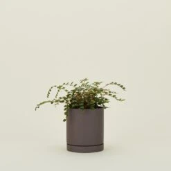 Ferm LIVING Sekki Pot - Charcoal -Home Furnishing Store FML.800.10.001.999 b