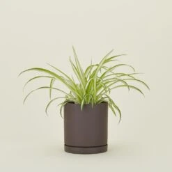 Ferm LIVING Sekki Pot - Charcoal -Home Furnishing Store FML.800.10.002.999 b