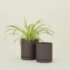 Ferm LIVING Sekki Pot - Charcoal