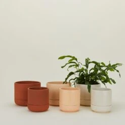 Franklin Self Watering Planter - Terracotta -Home Furnishing Store GLT.800.10.FRANKLIN.MIX .b1 alt 666ad6a5 6951 464b bcd2 b0ad350e7a5a