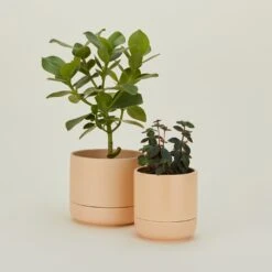 Franklin Self Watering Planter - Apricot