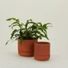 Franklin Self Watering Planter - Terracotta