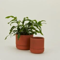 Franklin Self Watering Planter - Terracotta