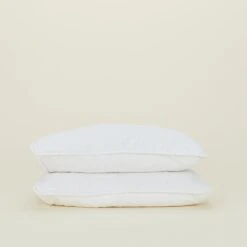 Simple Linen Quilted Shams, Set Of 2 - White