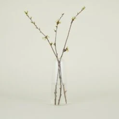 Aurora Pill Vase - Clear -Home Furnishing Store SPRING202111425 RT bf5e878b 788c 44a6 94ee b2e424e37c1b