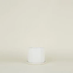 Riveted Planter -Home Furnishing Store SPRING202111825 RT 1ecbc63a 2e0d 4b8d a83b 1d218282bf64