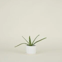 Riveted Planter -Home Furnishing Store SPRING202111833 RT