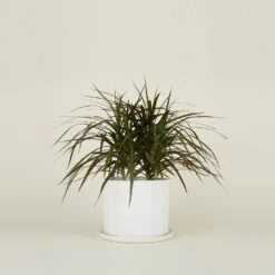 Riveted Planter -Home Furnishing Store SPRING202111858 RT