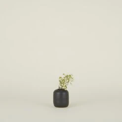 Stoneware Vase - Black -Home Furnishing Store SPRING202114112 RT