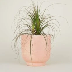 Footed Planter - Terracotta -Home Furnishing Store TC footedplanter largeprop